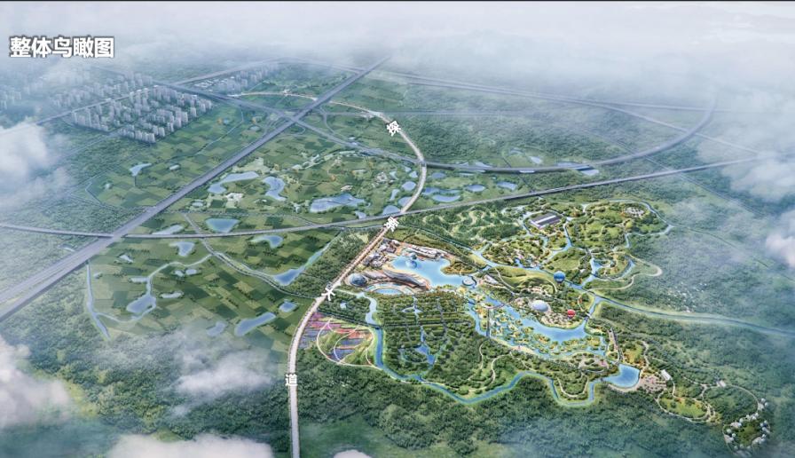 十年来有多少人选择了成都成华？|成华融媒