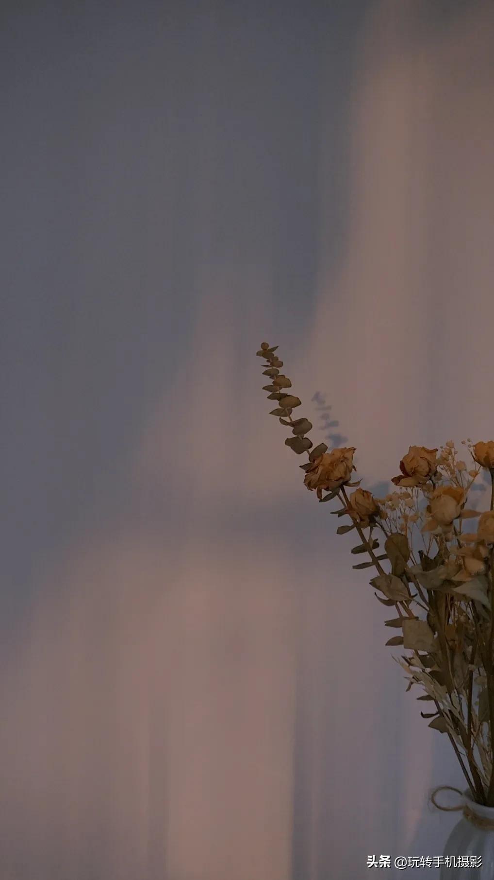 怎么拍花做壁纸,壁纸对花方法