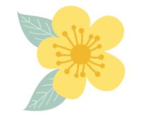 行道树“美容”、鲜花环绕.....双流的街道，你变了！