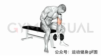 100张肌肉分解图,手臂肌肉的爆发力怎么练