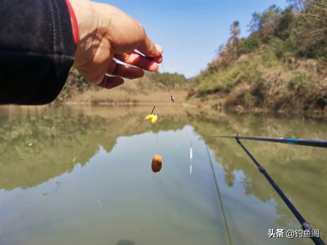 水太肥鱼鲫鱼不吃饵怎么办,水太肥鱼不肯吃饵怎么办