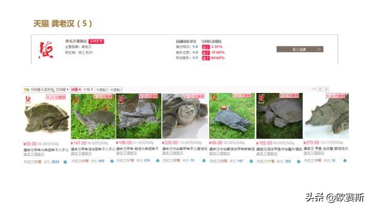 欧赛斯带你全方位洞察甲鱼市场发展趋势及竞争格局