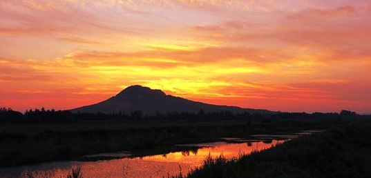 春天梅花开原创诗句,原创诗词梅开二度