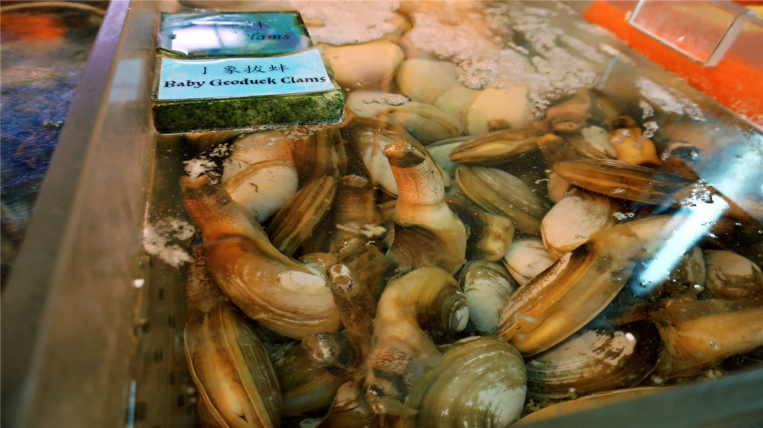 盘点六种其貌不扬的海鲜,这些外形奇葩而味道超级赞的海鲜