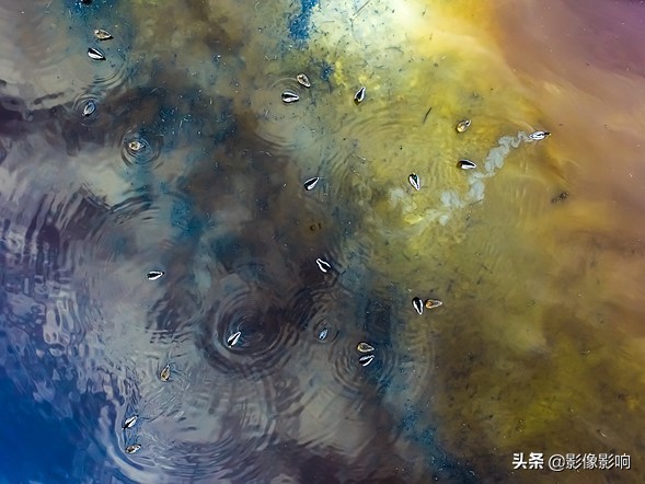 摄影金奖作品风景高清,风光摄影得奖照片