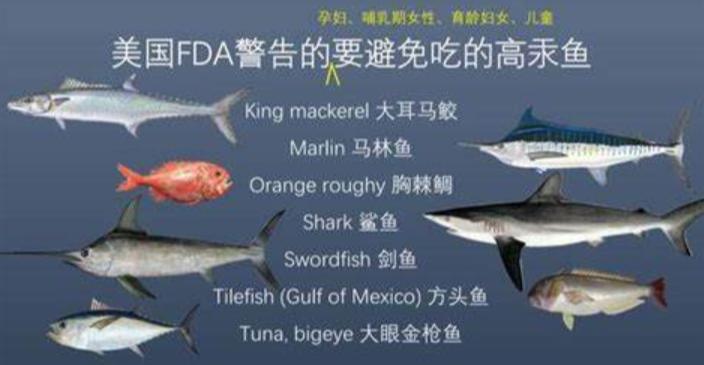 小孩多吃鱼聪明又健康,孩子吃鱼更聪明但是你家吃对了吗