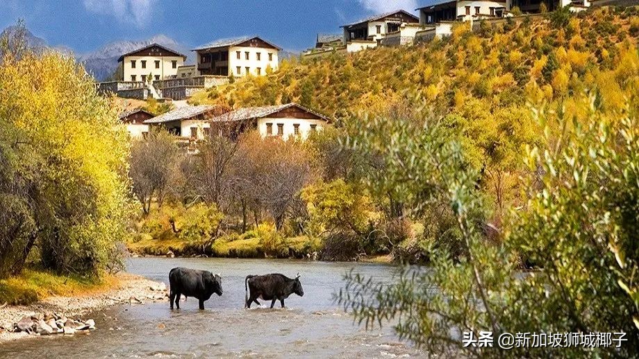 新加坡本土品牌有哪些,原来这些都是洋品牌