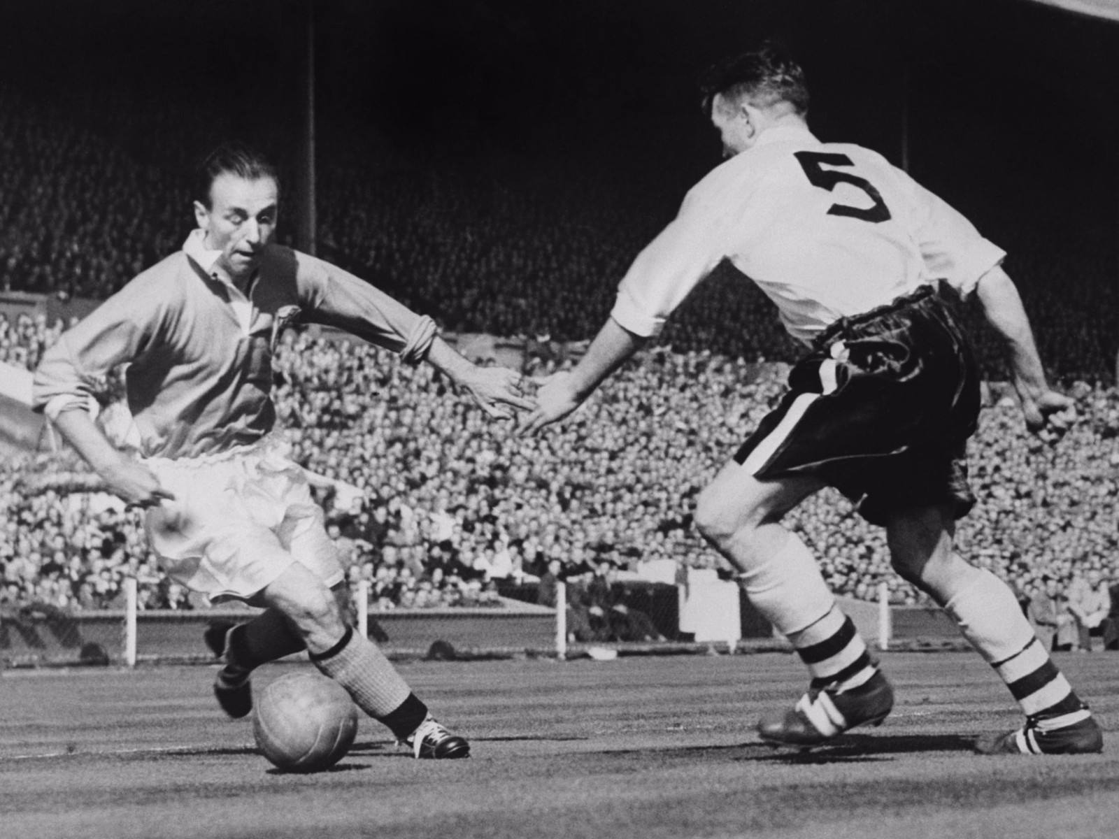 少数派报告完整版阅读,少数派报告怎么解读