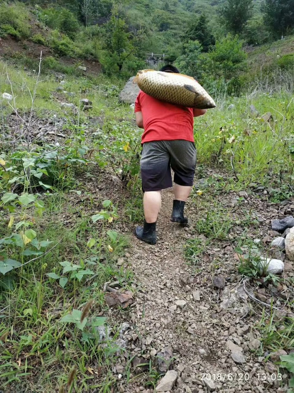 杆子断了就去配节啊