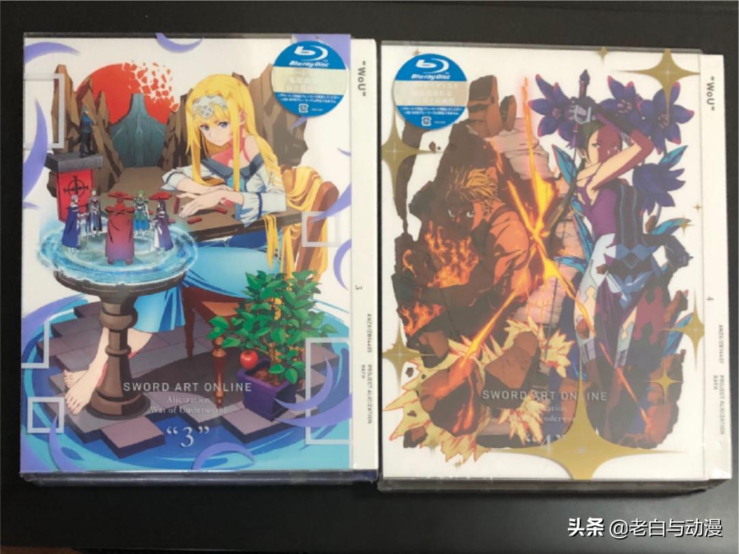 刀剑神域终章篇两个世界融合,刀剑神域不知道的细节