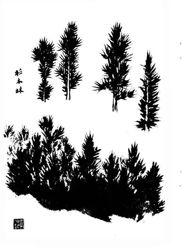 树的画法与表现技巧,树简单素描画