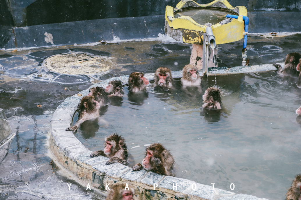 北海道函馆攻略一日游,12月北海道函馆有什么推荐