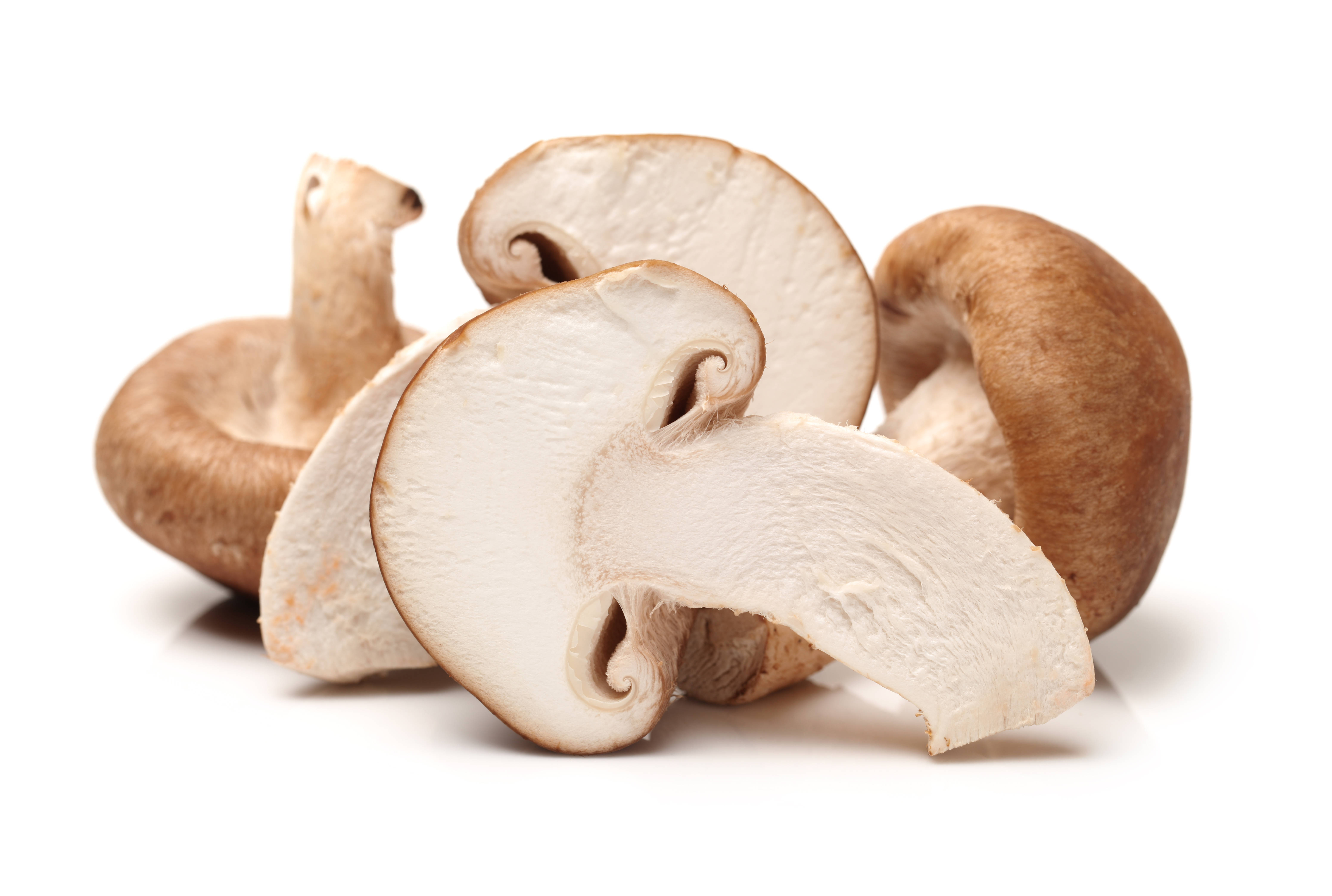 食用菌产品加工的主要技术方法有,食用菌生产与加工技术