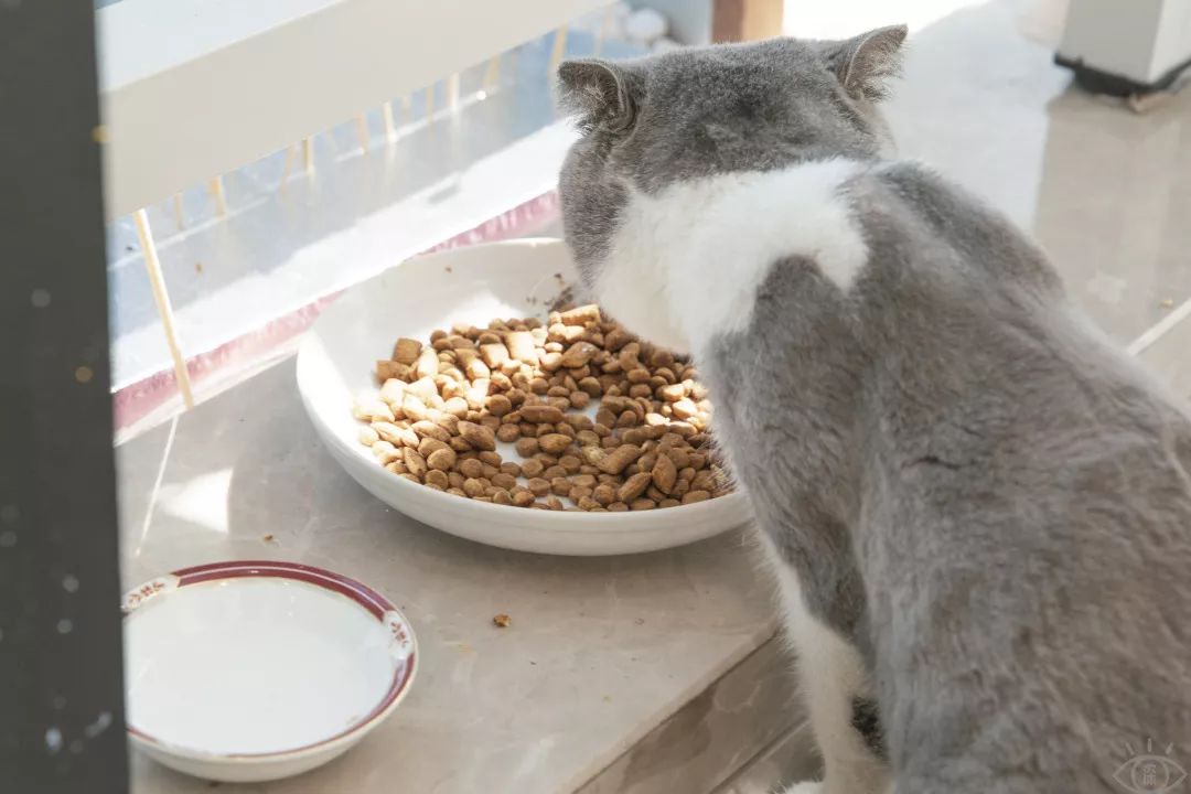 南山科技园有什么玩的,深圳南山科技园游玩