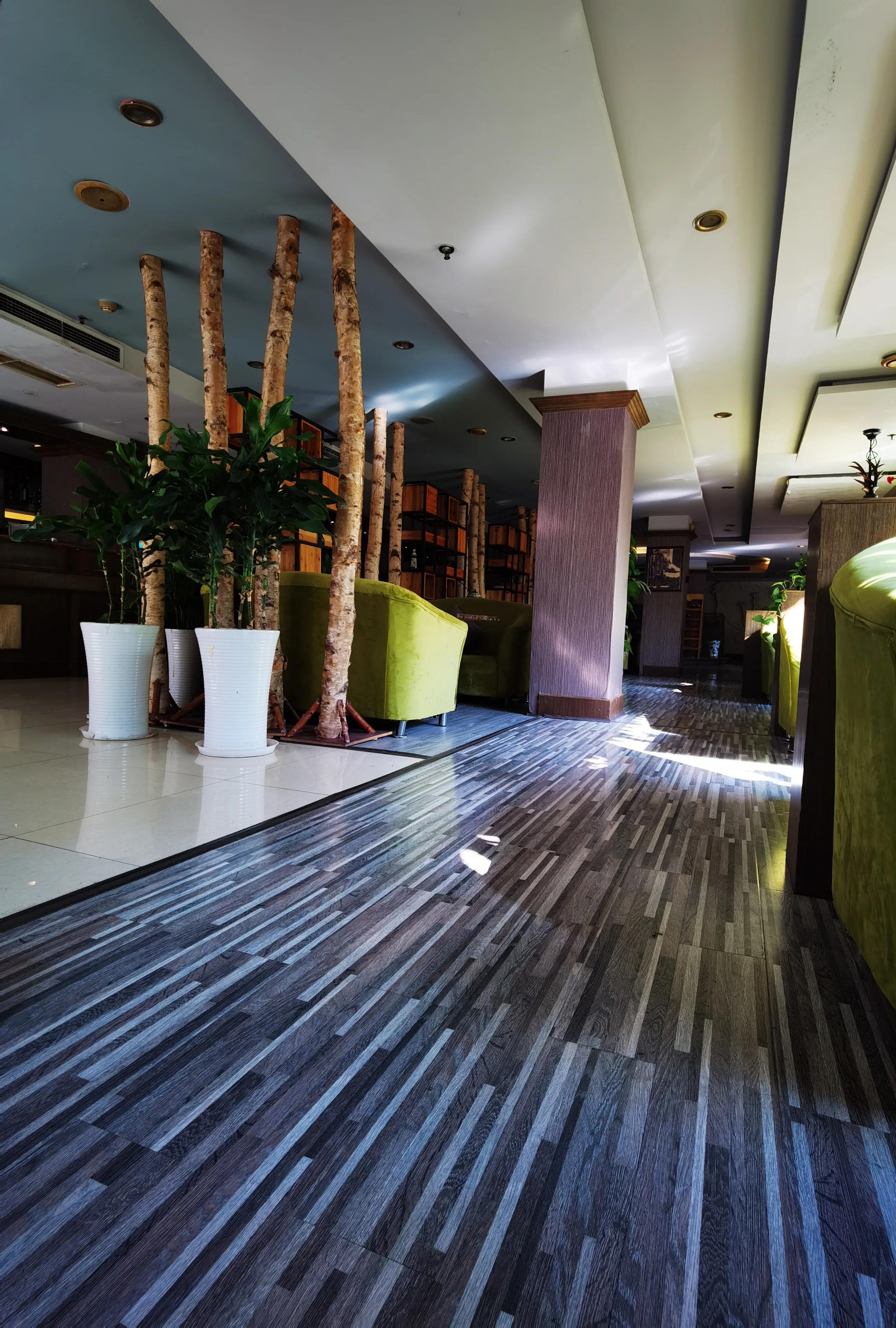 《高度关注》“米萝”咖啡的故事