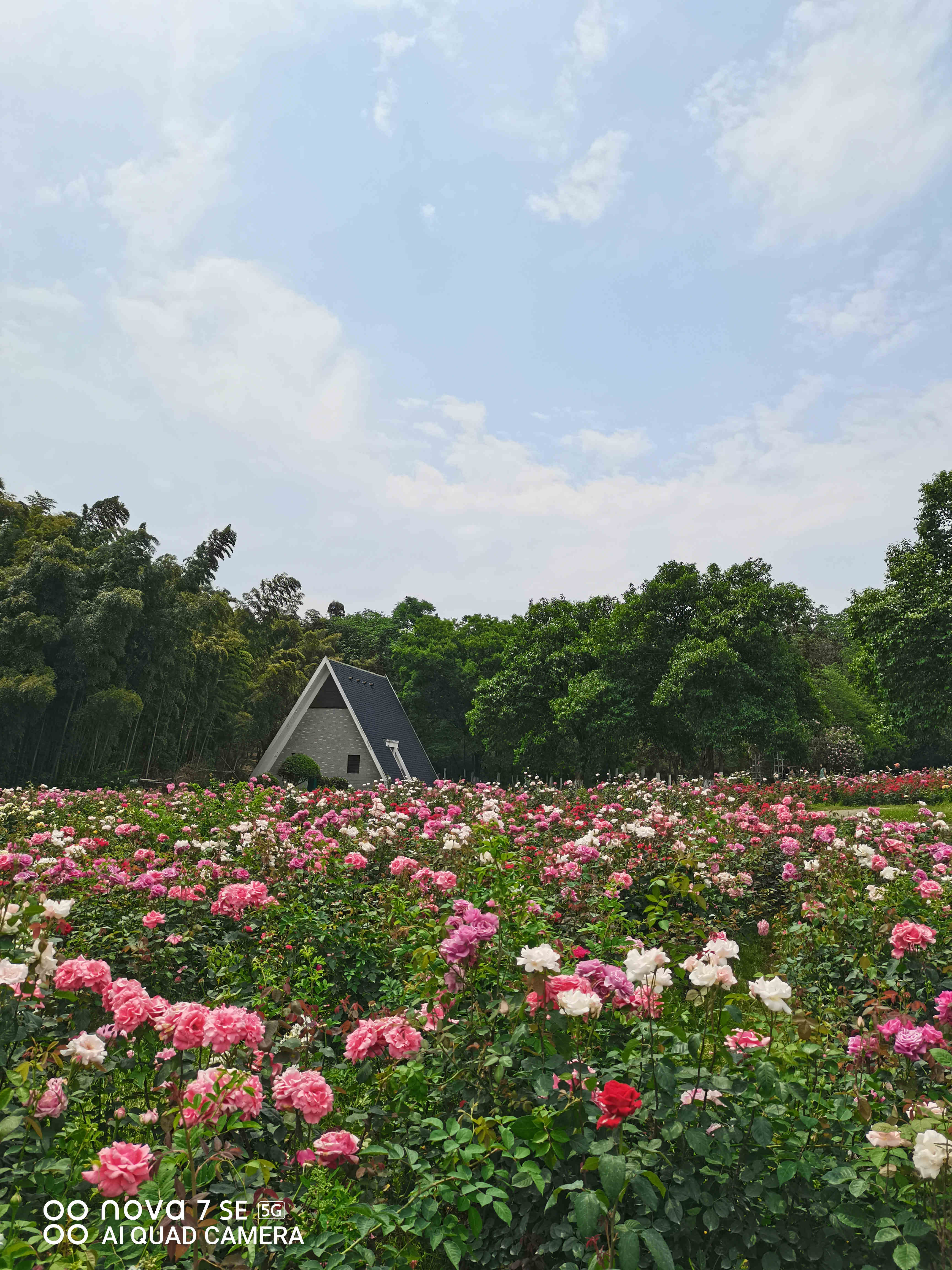 华为nova7se现在属于什么水平,2023年华为nova7se还值得入手吗