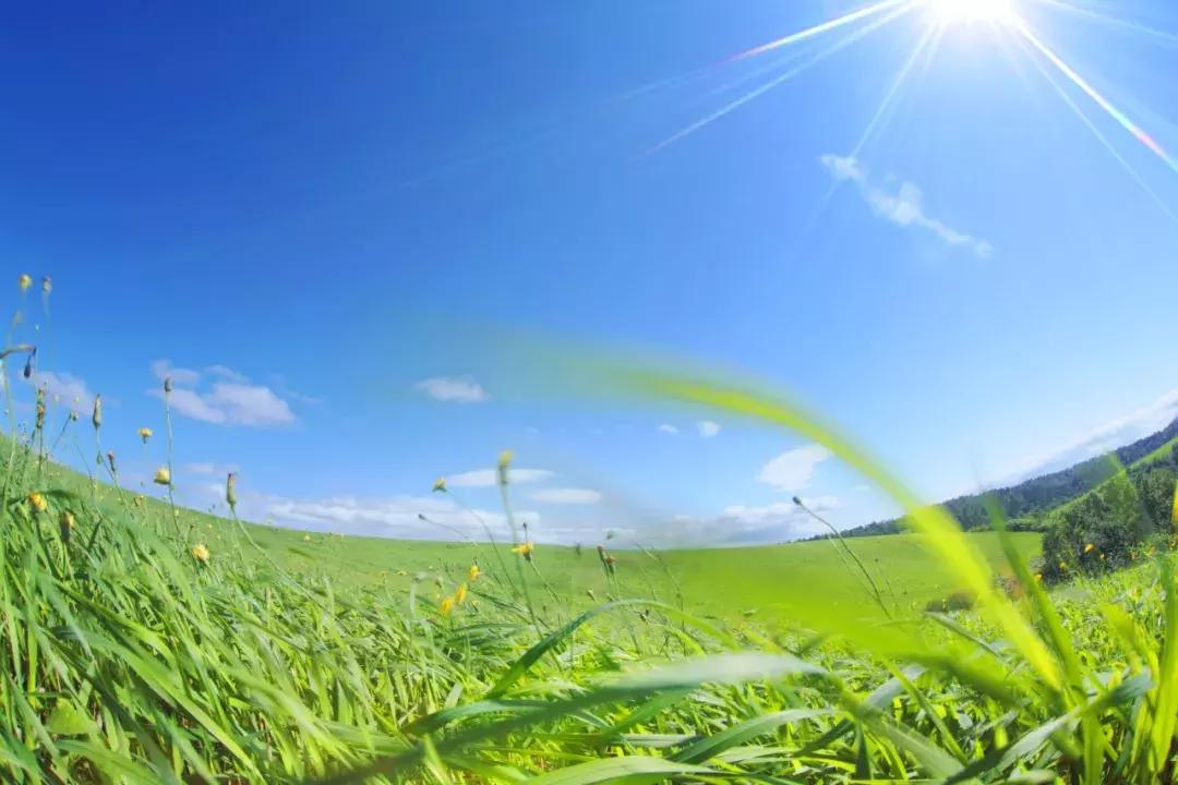 发展积极健康的党内政治文化,党内政治文化以什么为指导