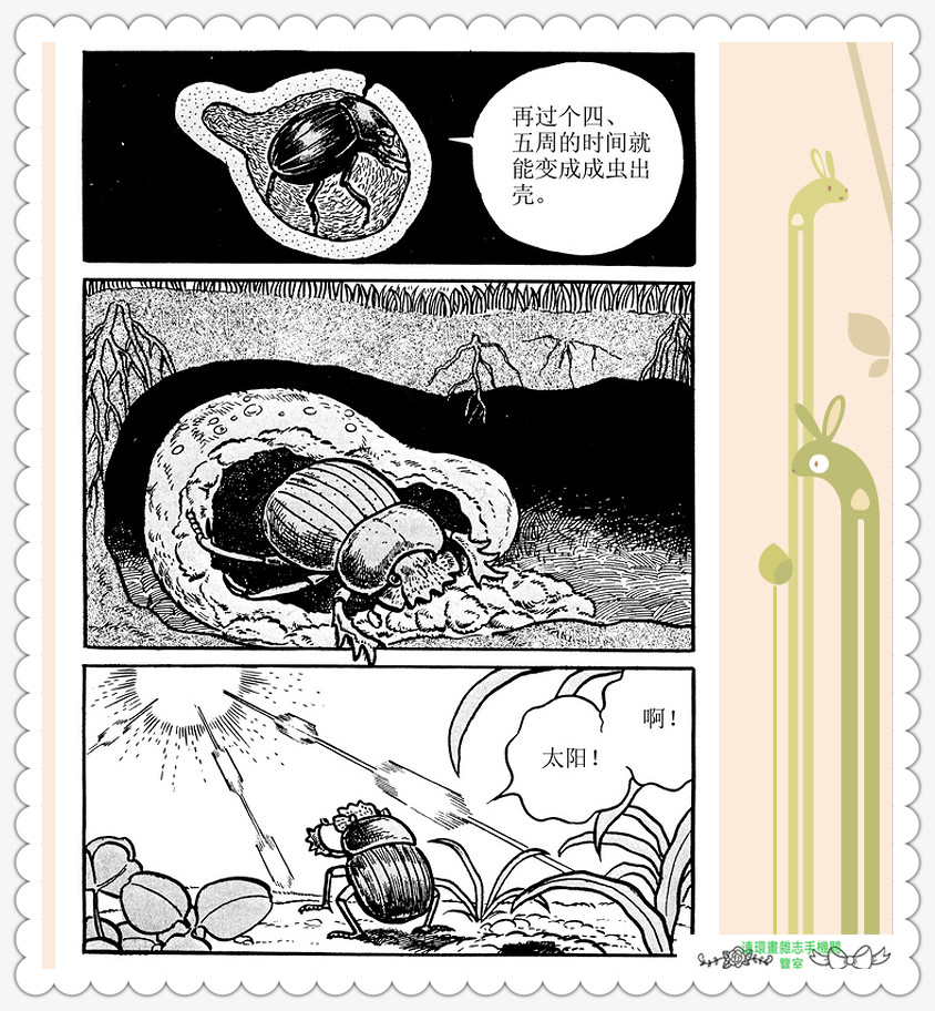 昆虫记法布尔正版全集,昆虫记法布尔阅读答案