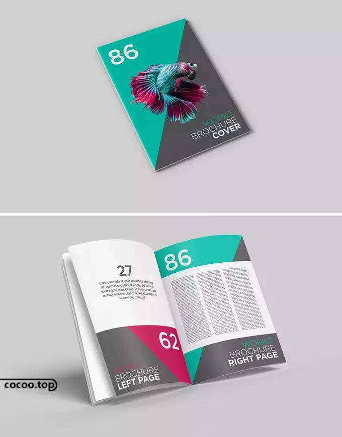 版式设计中的形式美法则,版式多样而富有美感