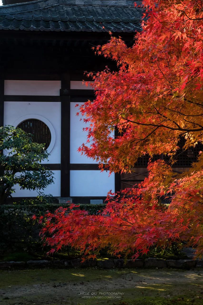 宅家一日游景点大全,宅家旅游指南唯美