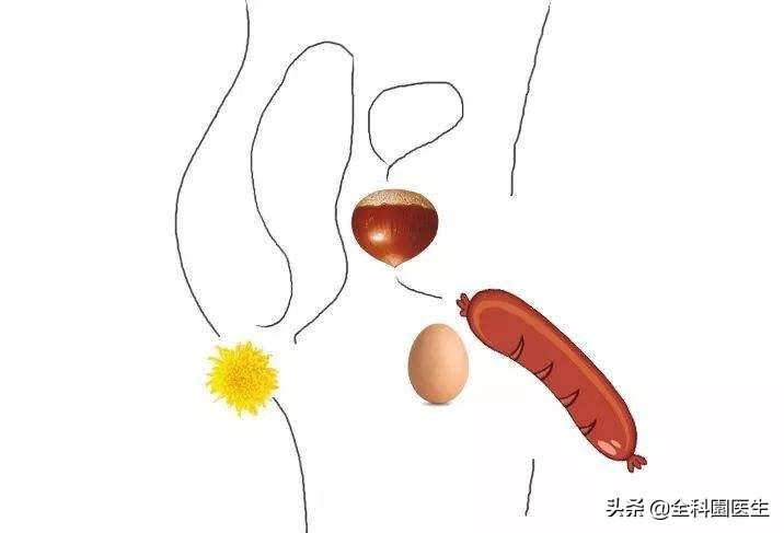 50多岁男人应预防什么疾病,男性过了50岁之后需注意什么