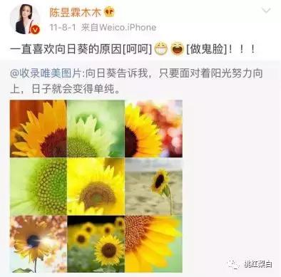 坐私人飞机提帕加尼,坐私人飞机戴百万名表