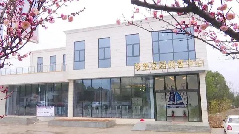 黄峰：“苗”准新商机“种”下二次创业梦