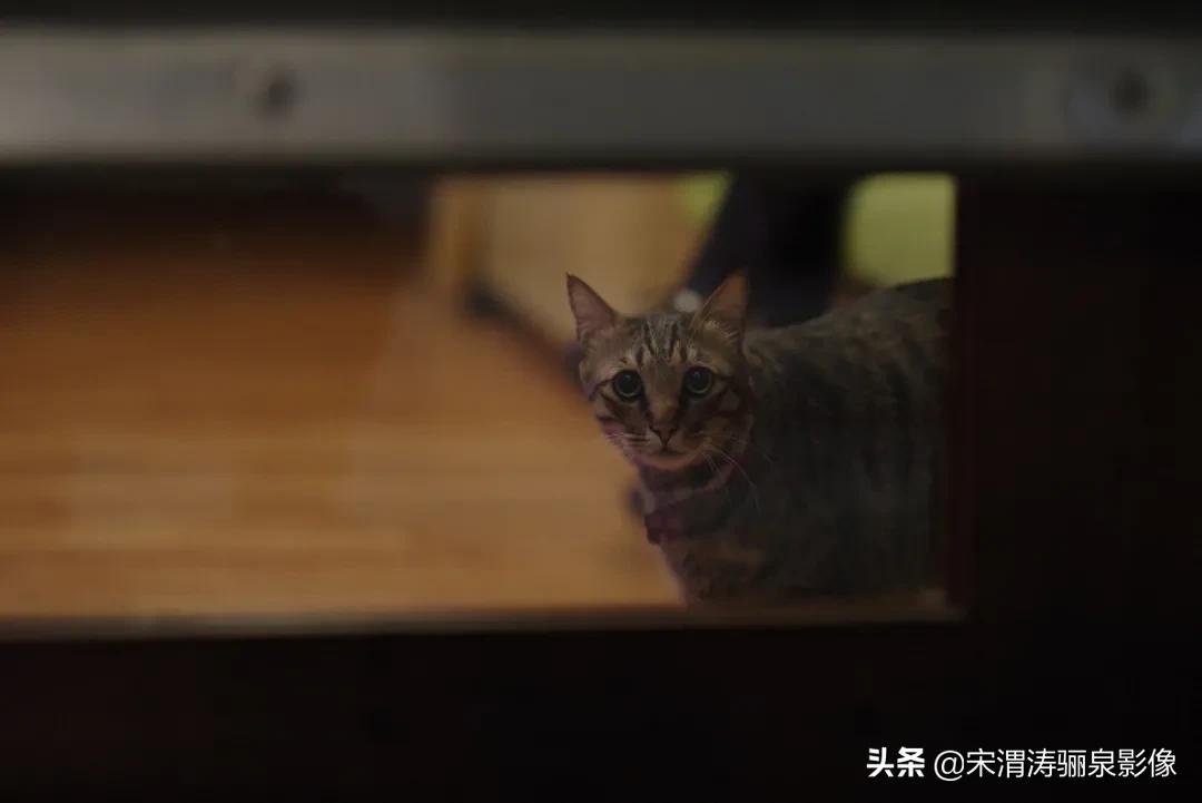 pentax十大经典相机,pentax好吗