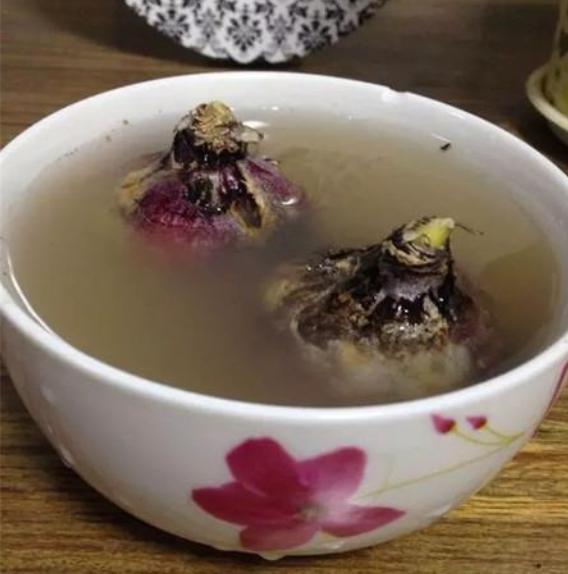 花卉多菌灵怎么选,丽姐说花卉教程