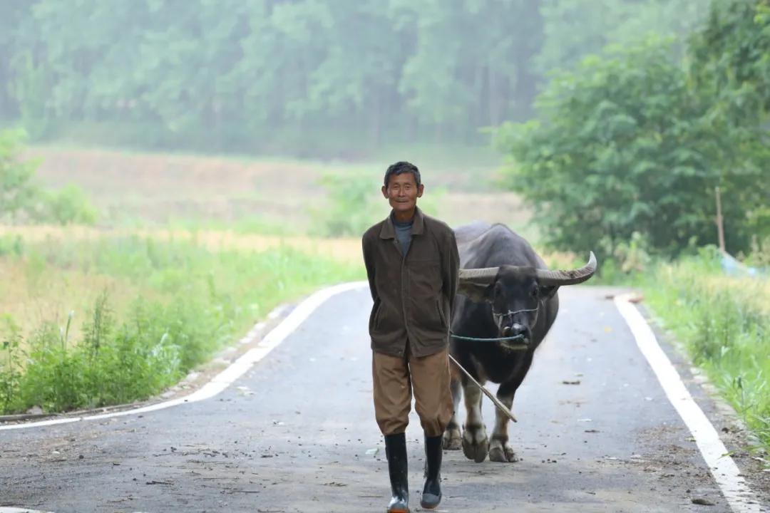 合肥小众风景区,合肥有一处小众景点