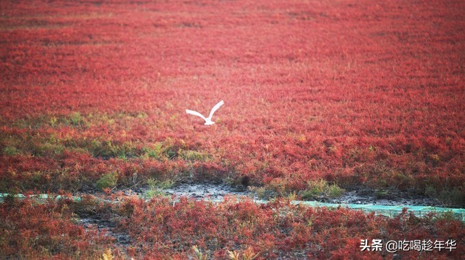 营口团山海洋公园是北海公园吗,营口团山海洋公园和金帛滩哪个好