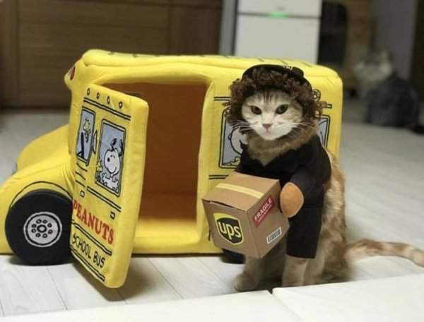 宠物囧图,宠物恶搞图