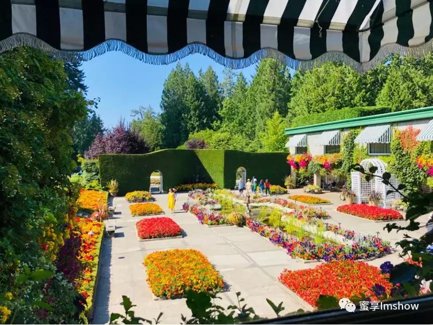 走进爱丽丝梦游仙境,爱丽丝梦游仙境绝美森林