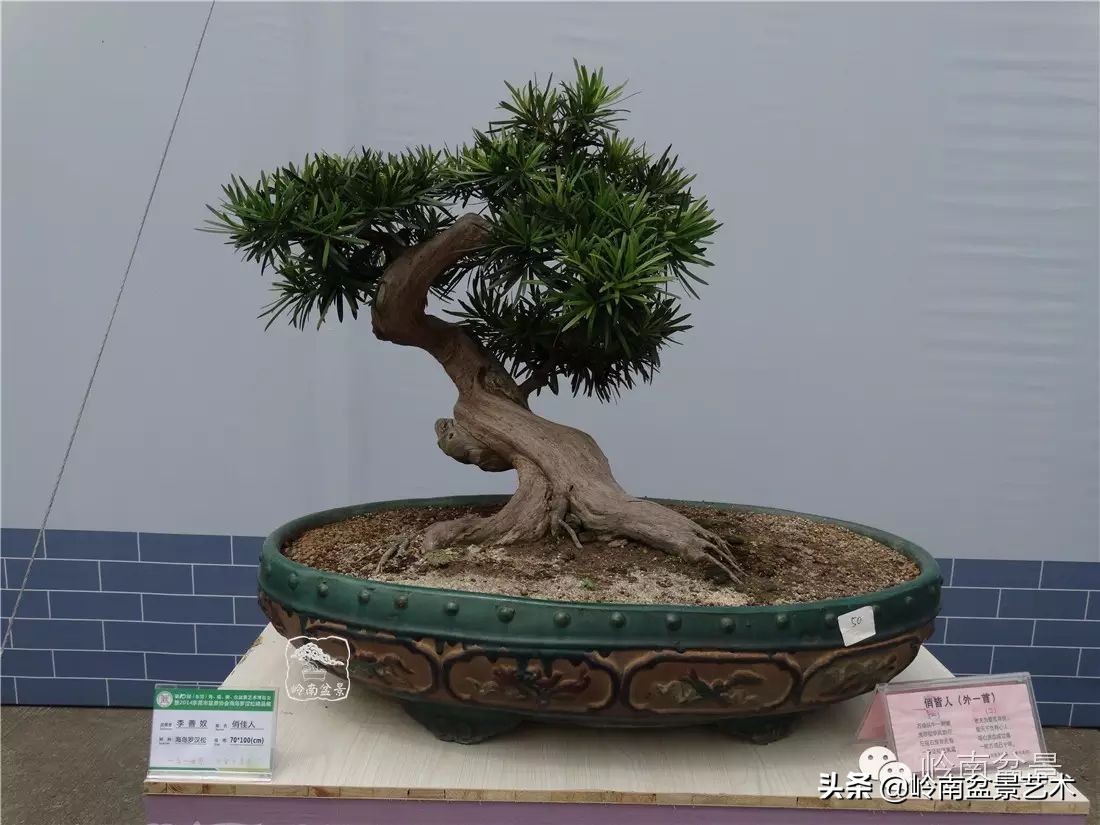 开运招财，非其莫属！清风雅韵，当之无愧！