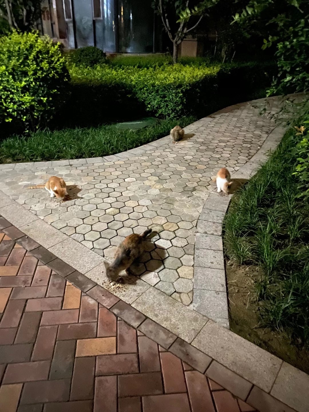 全职妈妈10万零花钱,全职妈妈5年零收入