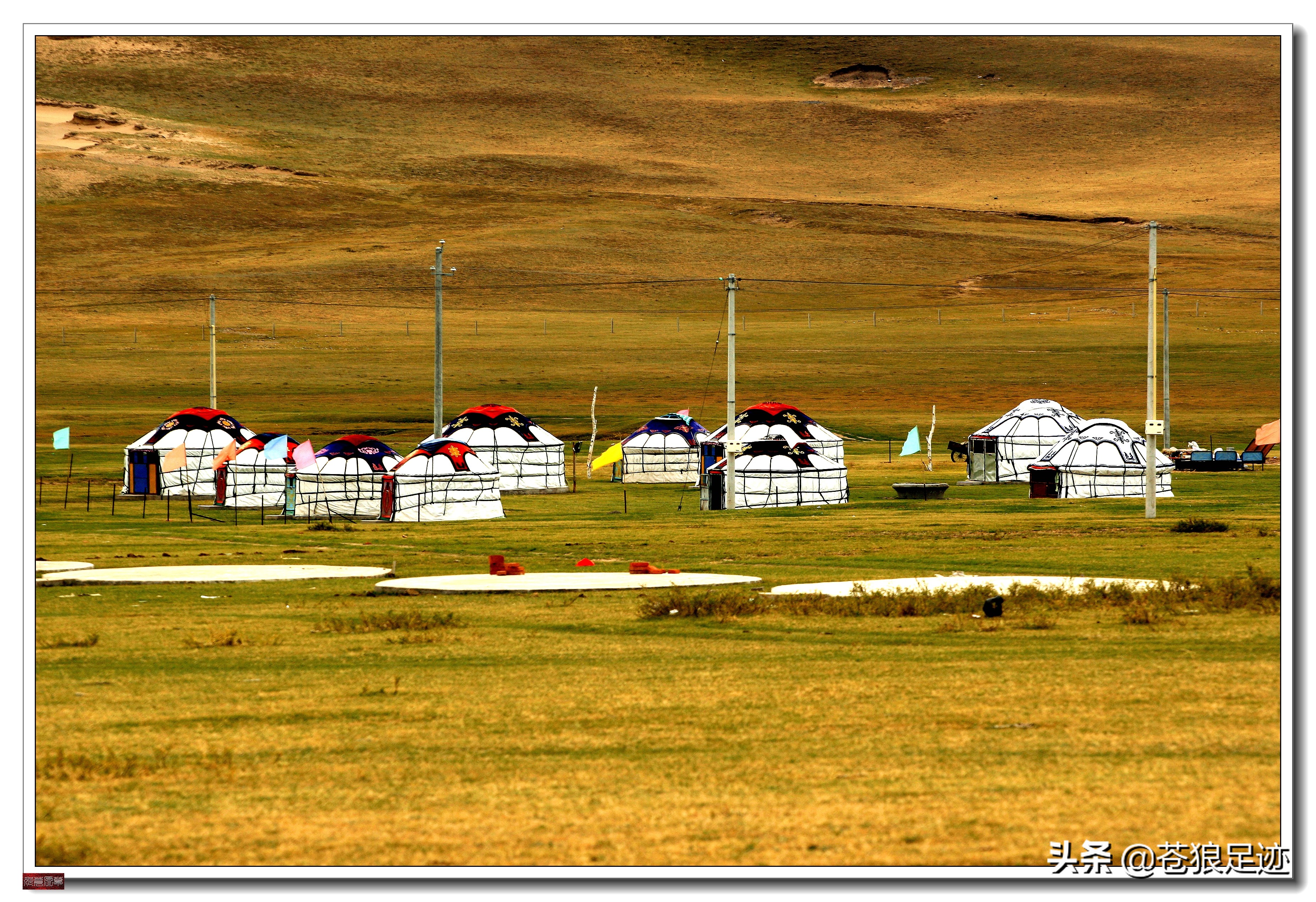 野阔牛羊同雁鹜——雄浑壮阔的贡格尔草原