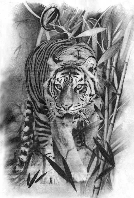 绱犳弿鍏ラ棬鍔ㄧ墿,绱犳弿鍔ㄧ墿瑙ｆ瀽