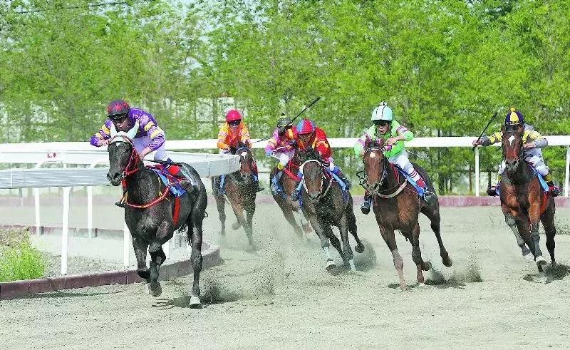 六月的新疆兵团,六月的新疆还有什么节日