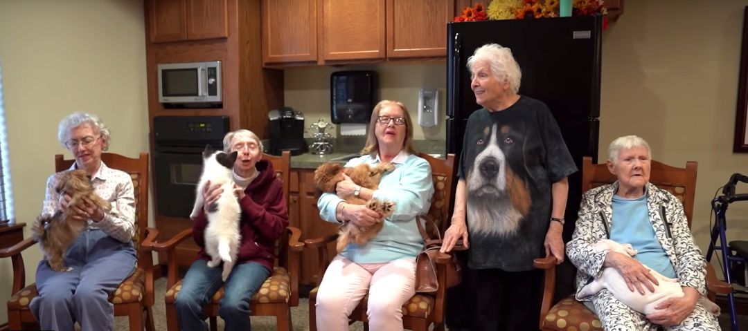 93岁奶奶恶搞27岁孙子,一夜爆红!1300万网友围观:奶奶太坑了