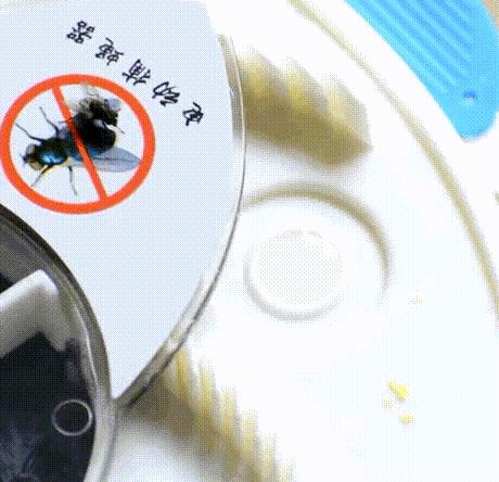 搞笑动图gif笑到肚子疼,搞笑动图gif图片