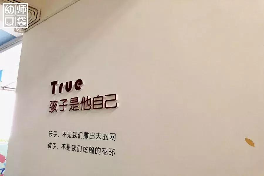 特色幼儿园活动区,高端幼儿园特色活动