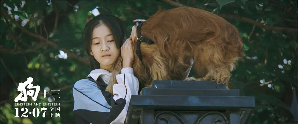 最值得看的十部华语电影 (评分高的五部华语电影)