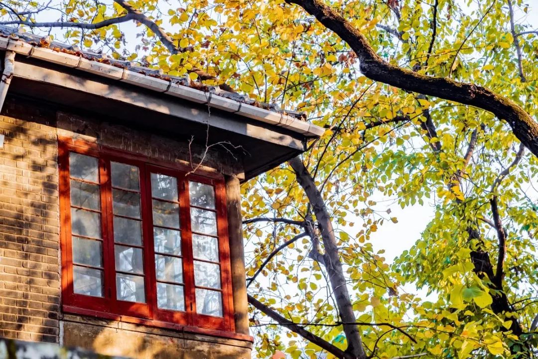 南京值得去生活吗,在南京生活15年的感受