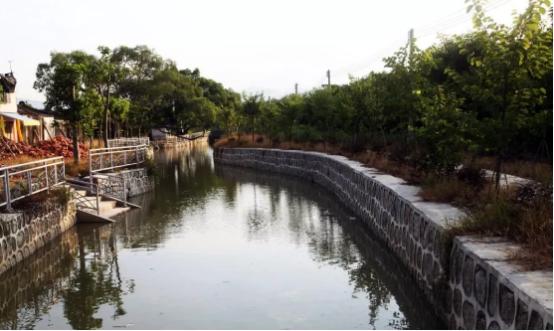 碧桂园乡村振兴项目,在家门口就可以致富创收