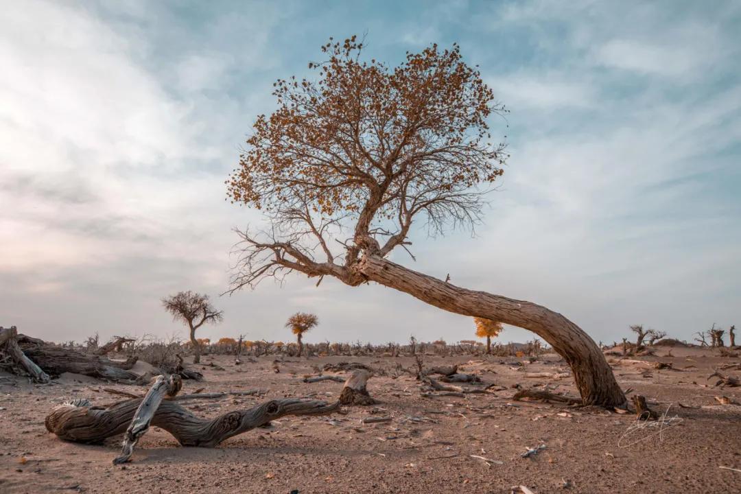 9月国内最美的10个最佳旅行地推荐,金秋十月寻找最美旅行地
