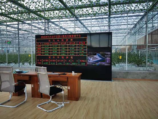 带你江西奉新看菜去，去了绝对不后悔