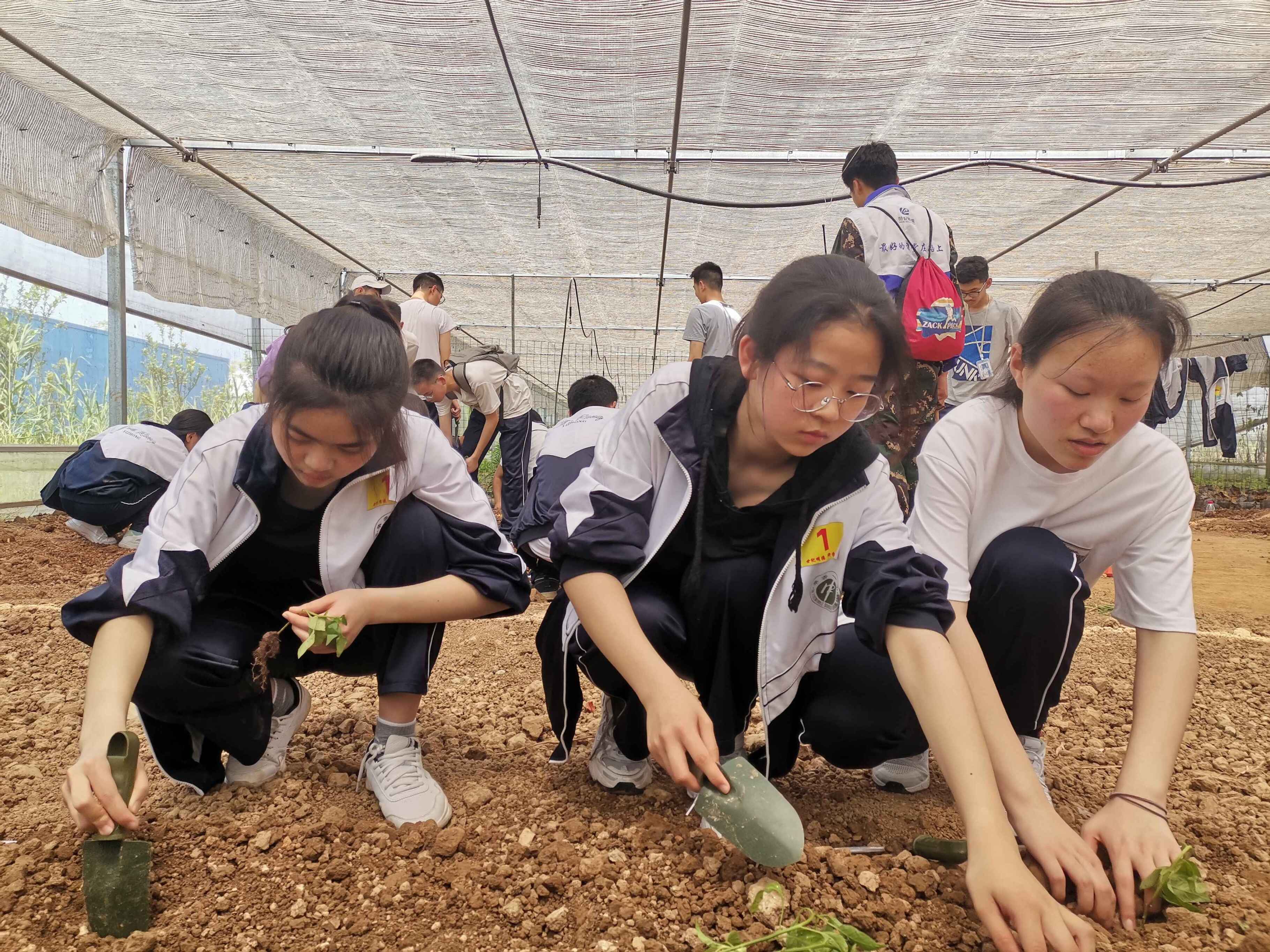 华容一中校园,华容一中教室