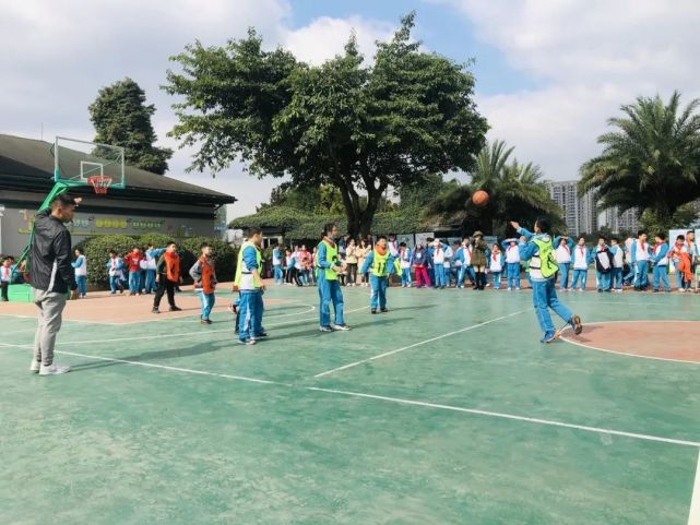 成都泡桐树小学哪个校区最好,泡桐树小学新津校区地理位置