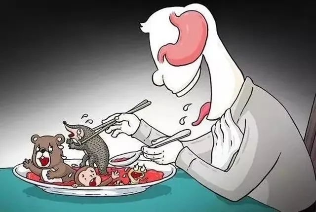 这八种野生动物千万别吃,这八种野生动物千万不要吃