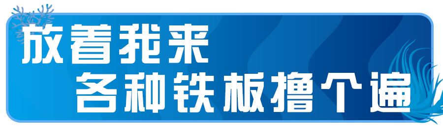雄业金都火锅在几楼,雄业金都美食推荐烤肉自助